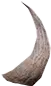 Icono
